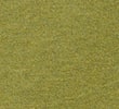 MOSS/