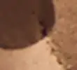 BROWN MIX