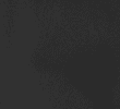 BLACK/