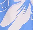 BLUE MIX