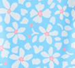 BLUE MIX