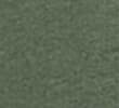 MOSS GREEN