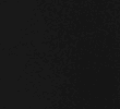 BLACK/