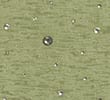 FERN GREEN