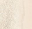 LIGHT CREAM