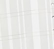 WHITE/