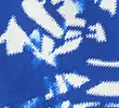 BLUE/WHITE