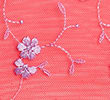 GERANIUM