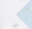 BLUE/WHITE