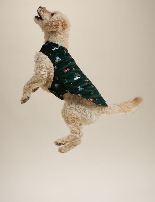 Spencer Bear™ Dog Jumper