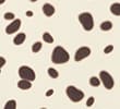 IVORY MIX