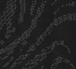 BLACK/SILVER