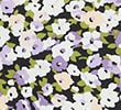 LILAC MIX