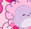 PINK MIX