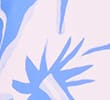 BLUE MIX