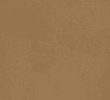 COGNAC