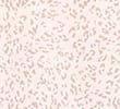PINK MIX