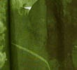 GREEN MIX