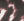 Y4_BLACK MIX