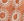 P8_BURNT ORANGE