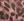 XZ_CHOCOLATE MIX