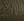 KM_DARK OLIVE