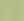 XW_FERN GREEN
