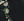 Y4_BLACK MIX