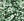 J4_GREEN MIX