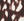 N4_BROWN MIX