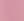 RT_TEA ROSE