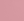 RT_TEA ROSE
