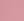 RT_TEA ROSE