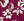 RX_RASPBERRY MIX