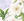 Z4_WHITE MIX