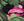 A4_PINK MIX