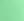 LR_BRIGHT MINT