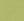 J2_MEDIUM GREEN
