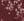 B6_DARK RED MIX