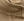 PB_PUTTY