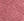 FD_ROSE PINK