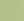 XW_FERN GREEN