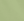 XW_FERN GREEN