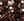 SH_CHOCOLATE