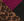 N4_BROWN MIX