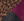N4_BROWN MIX