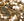 S0_GOLD