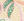 NZ_ECRU