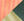 C8_CORAL MIX