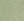 JS_LIGHT OLIVE